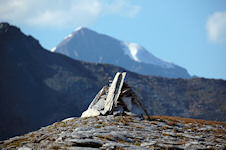 Steinmanderl Wiesbachhorn