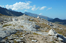 Steinmanderln markieren den Weg