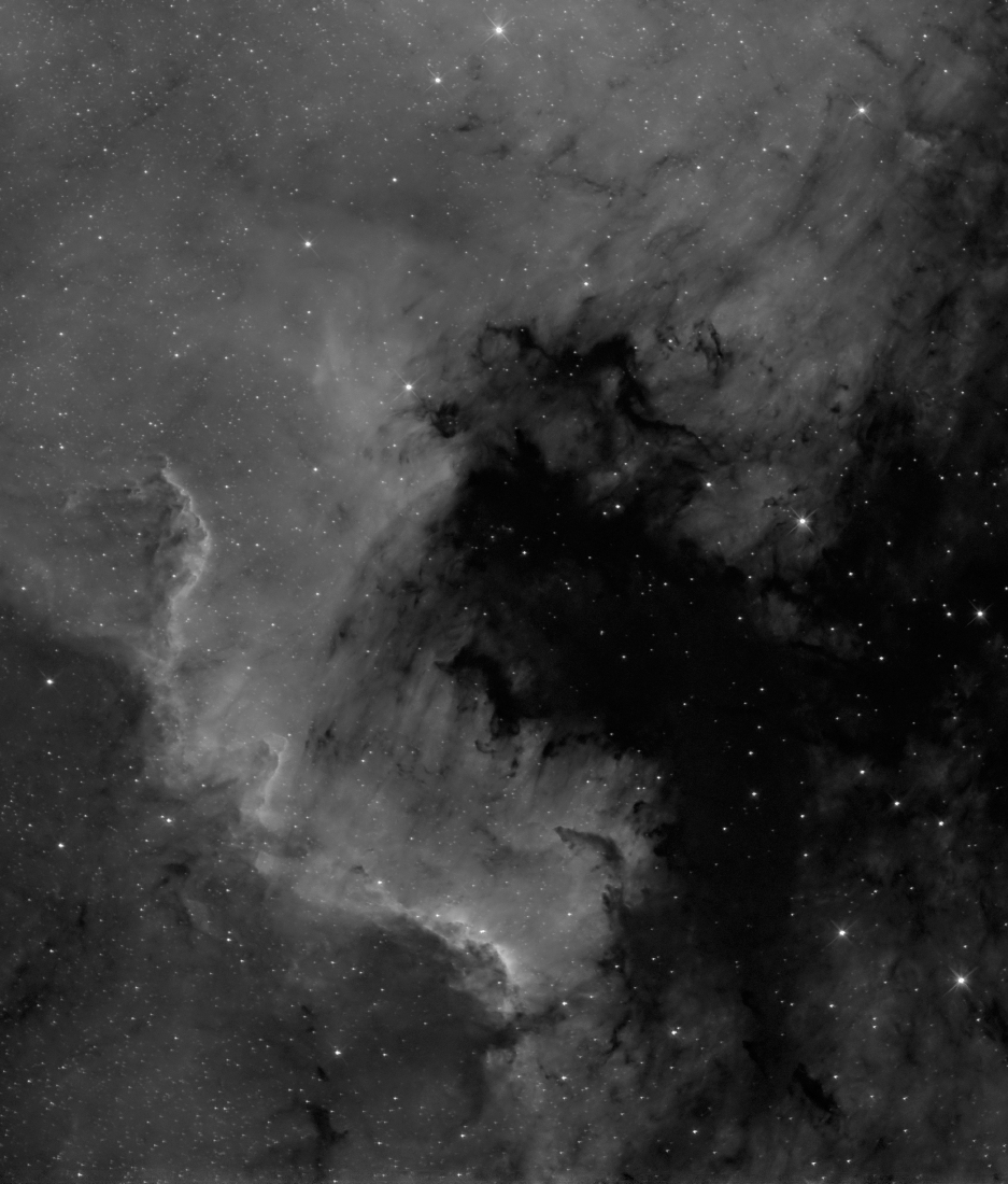 NGC 7000 in Ha