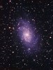 M33