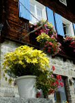 Fensterschmuck Schöneck