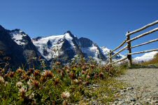 Glockner mit Blumen und Zaun