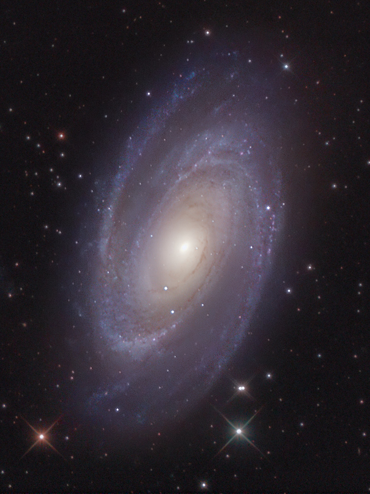 M81