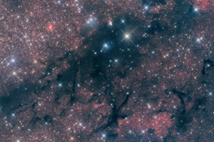 LDN 998 Region in Cygnus, detail