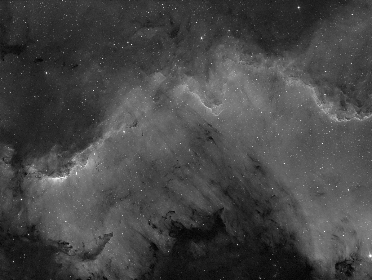 Part of NGC 7000 in Ha